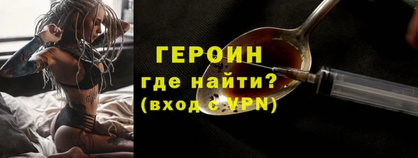 индика Богородицк