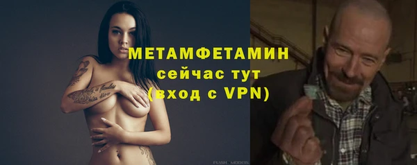 индика Богородицк