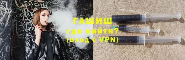 индика Богородицк